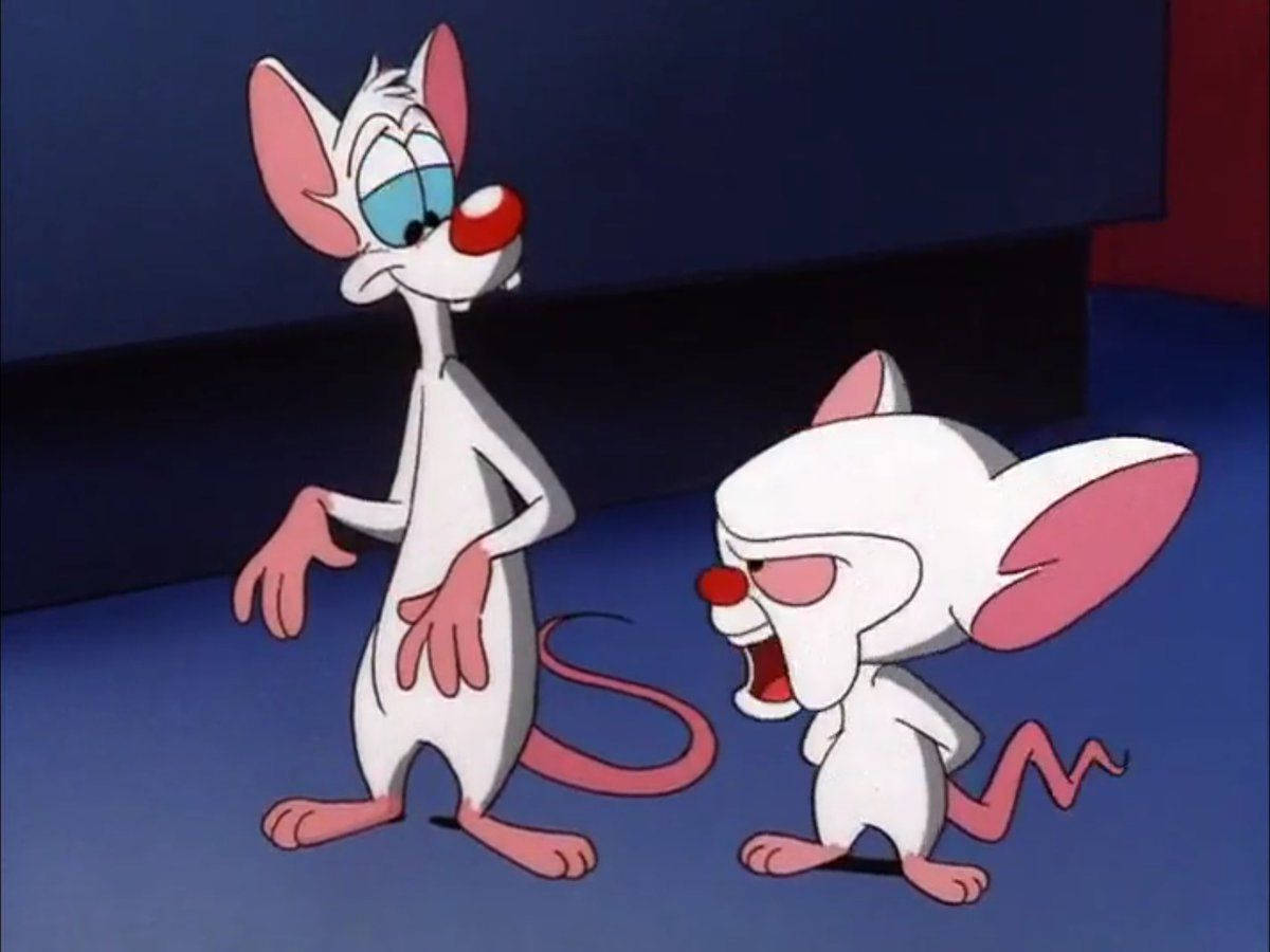 Pinky And The Brain Purple Floor Wallpaper