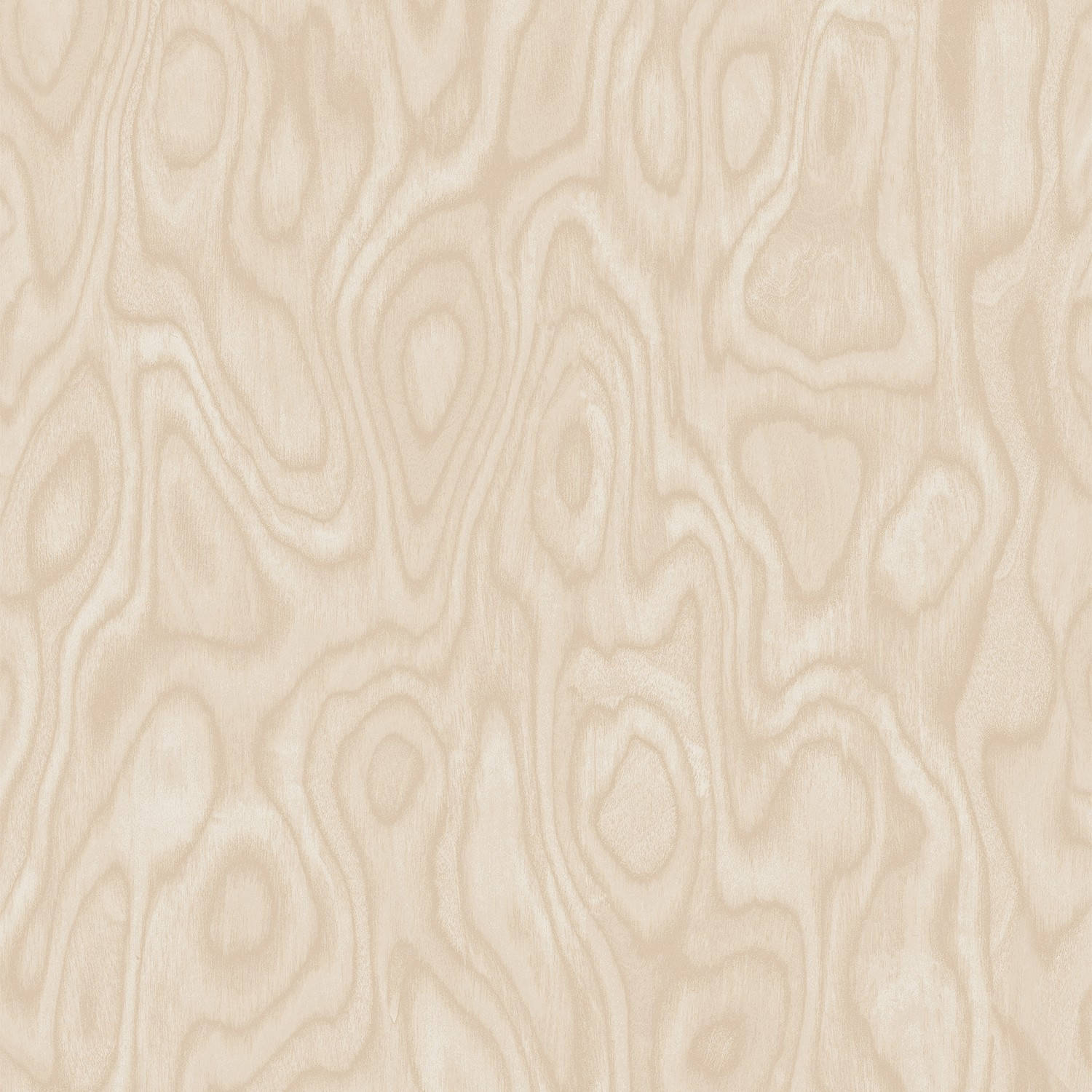 Plain Beige 1500 X 1500 Wallpaper