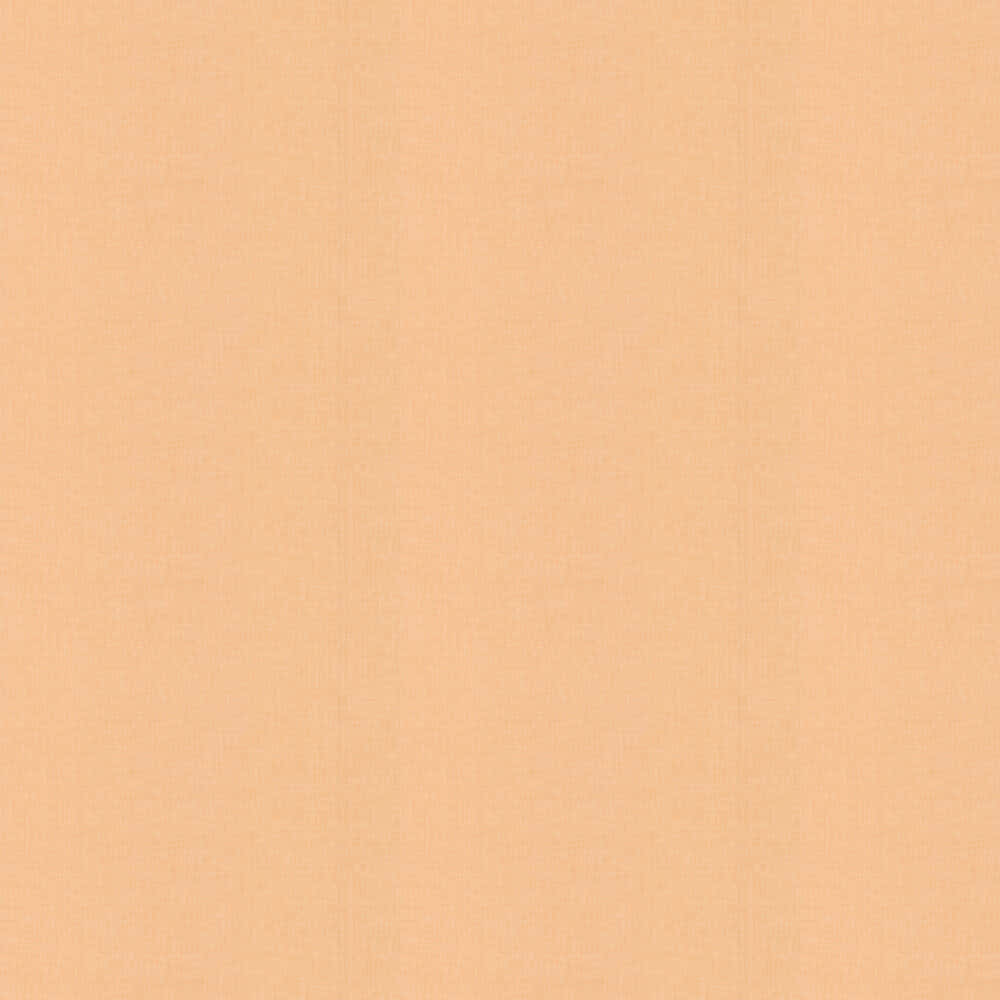 Plain, Bold, & Orange Wallpaper