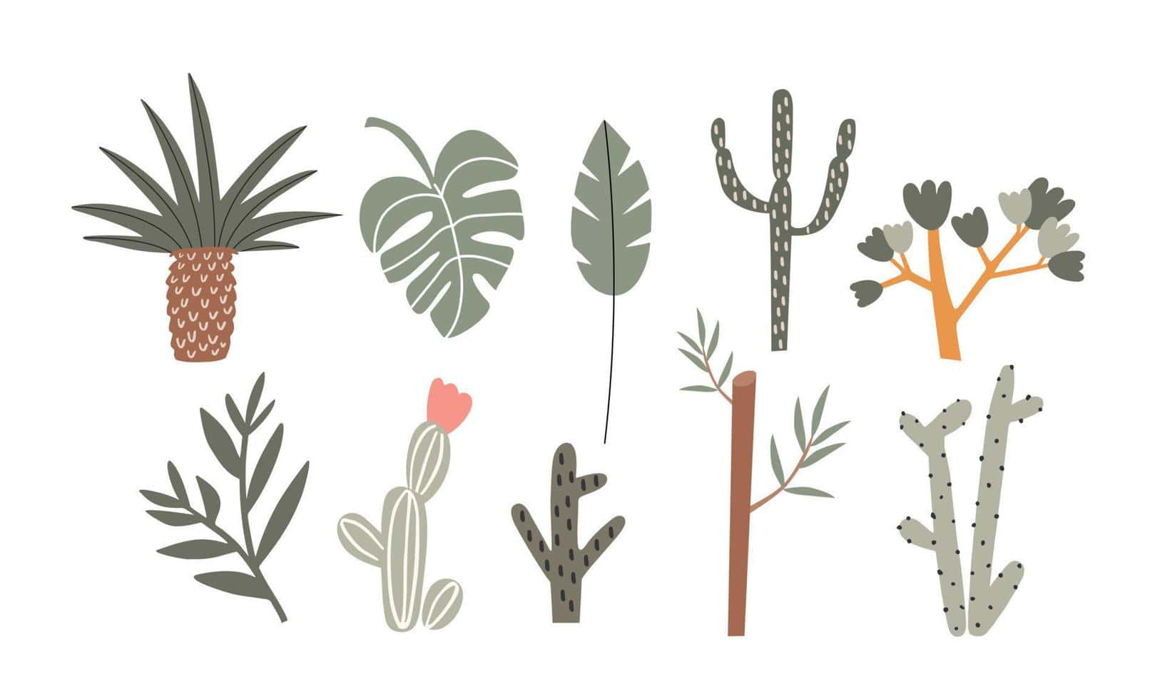 Plant Aesthetic Laptop For Instant Retro Style Wallpaper