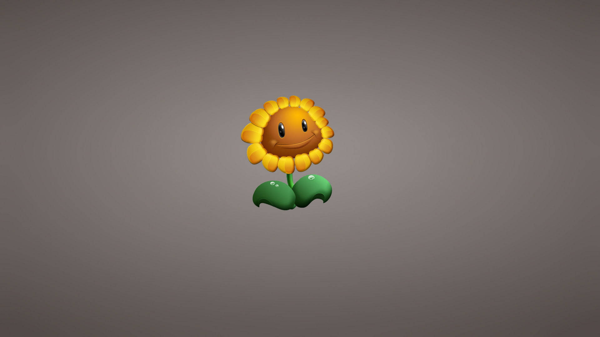 Plants Vs. Zombies Sunflower Laptop Wallpaper