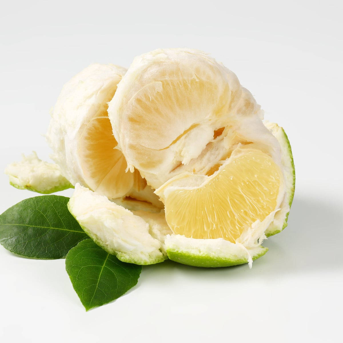 Pomelo Fresh Green Wallpaper