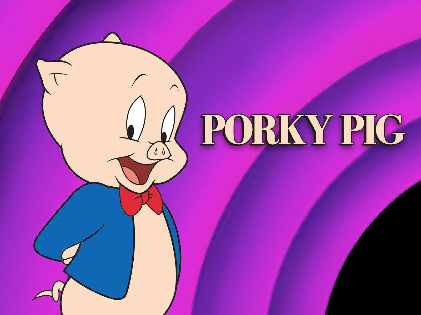 Porky Pig Classic Cartoon Wallpaper