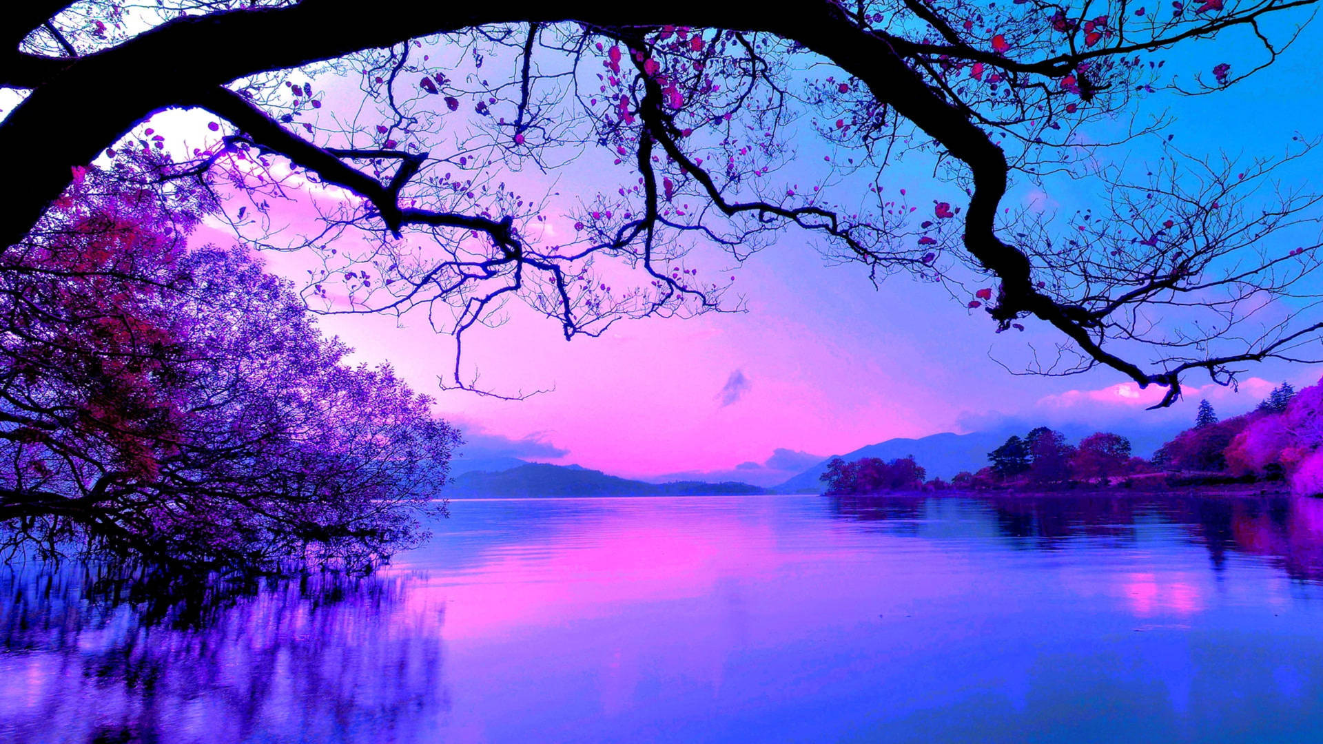 Pretty Purple Lake Wallpaper