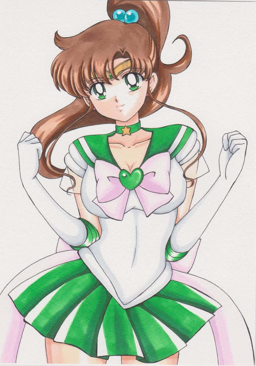 Pretty Soldier And Guardian, Sailor Jupiter Wallpaper