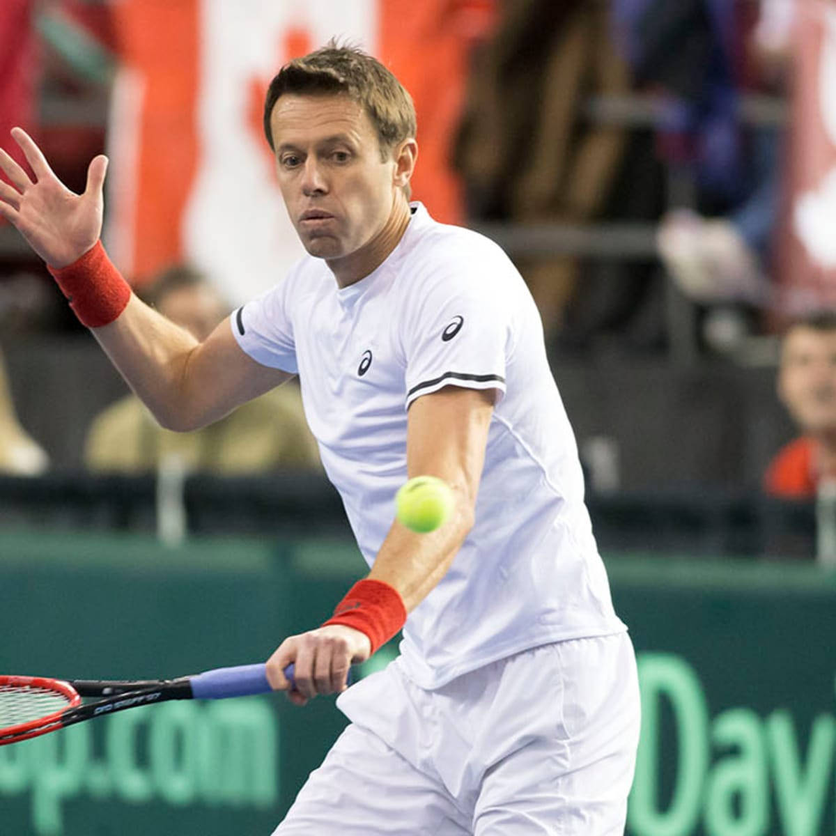 Professional Tennis Player Daniel Nestor In Action Wallpaper