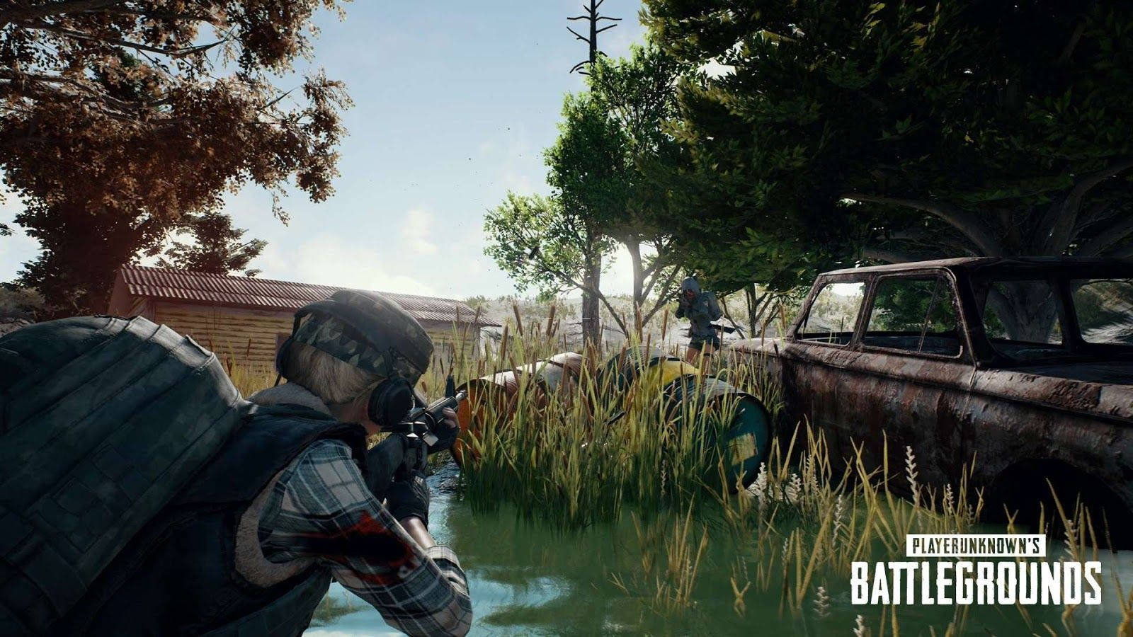 Pubg 3d Live Hd Game Wallpaper