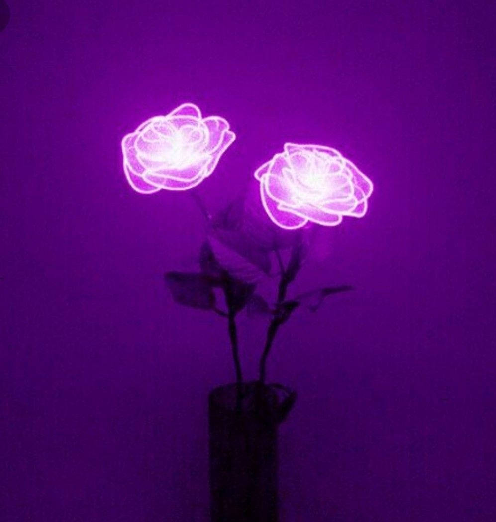 Purple Aesthetic Phone Neon Roses Wallpaper