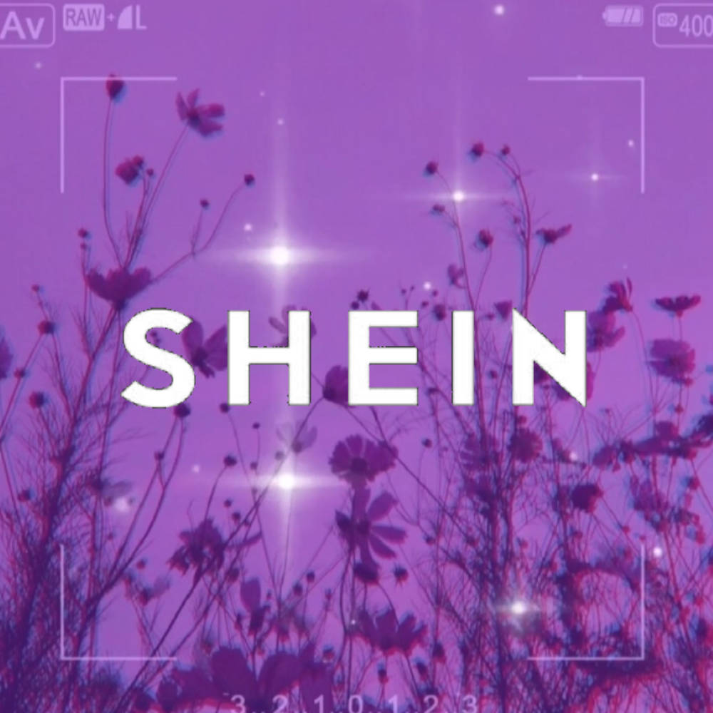 Purple Flowers Shein Wallpaper