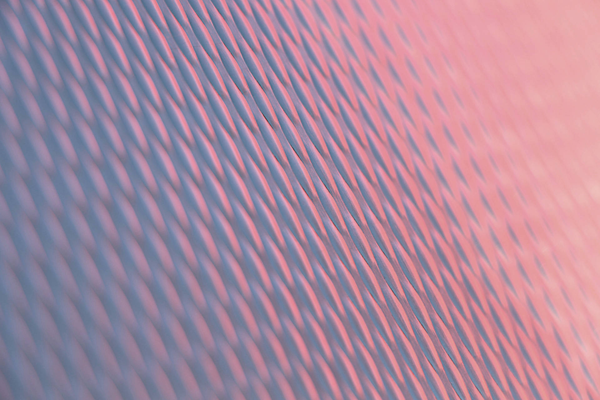Purple-pink Oval Pattern Wallpaper