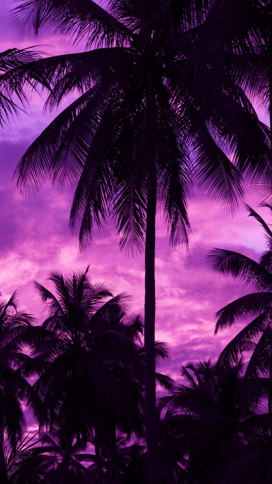 Purple Tree Shadow Wallpaper