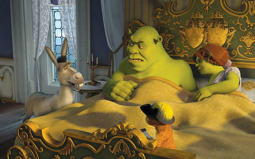 Puss In Boots And Shrek Characters Wallpaper
