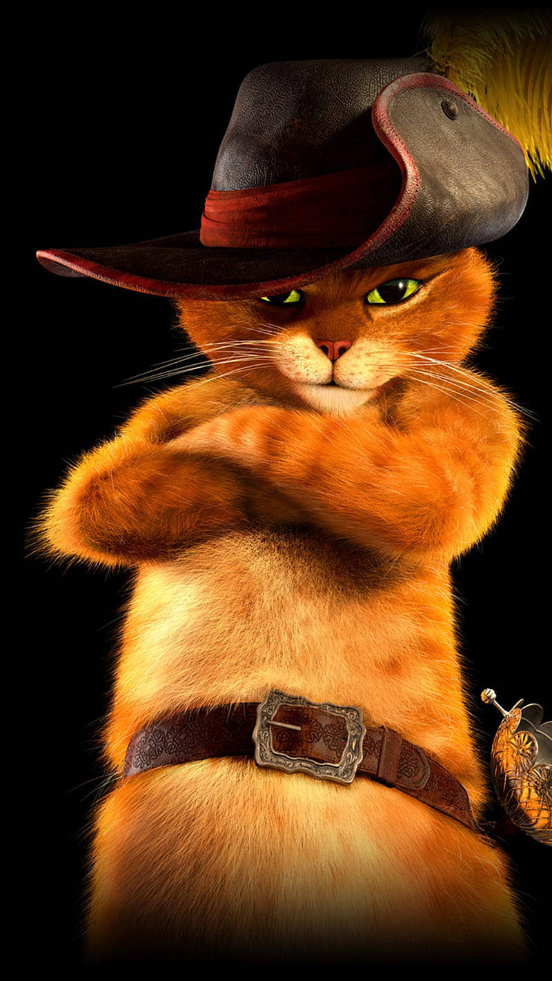 Puss In Boots Arms Crossed Wallpaper