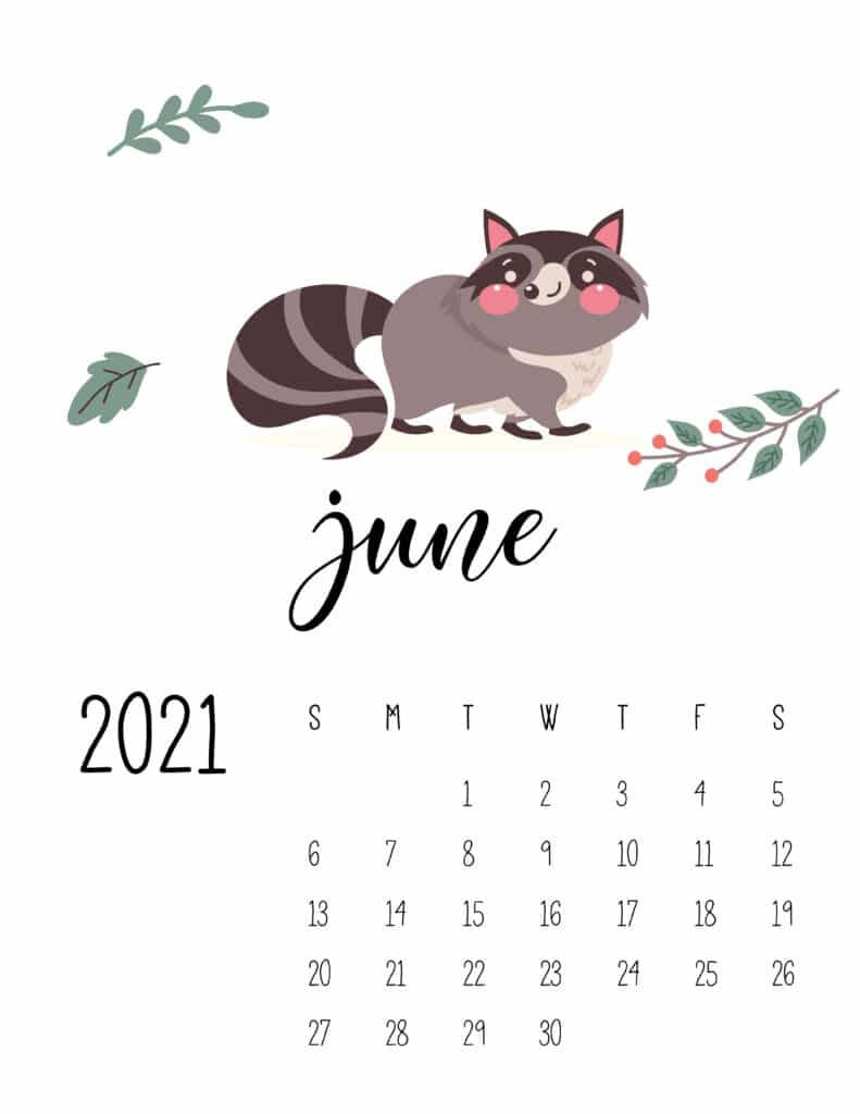 Racoon June Calendar 2021 Wallpaper