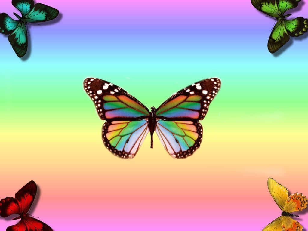 Rainbow Butterfly Desktop Wallpaper