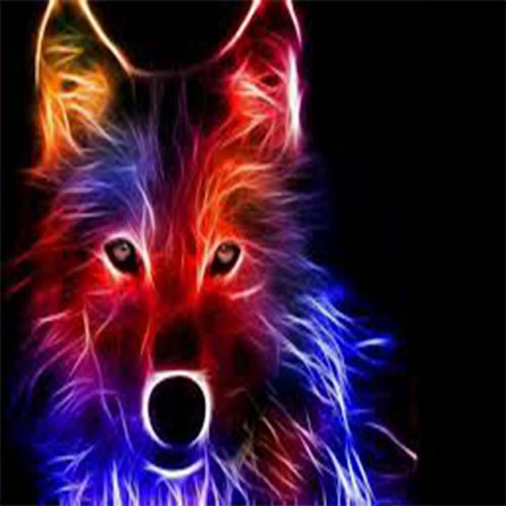 Rainbow Wolf Looking Straight Wallpaper