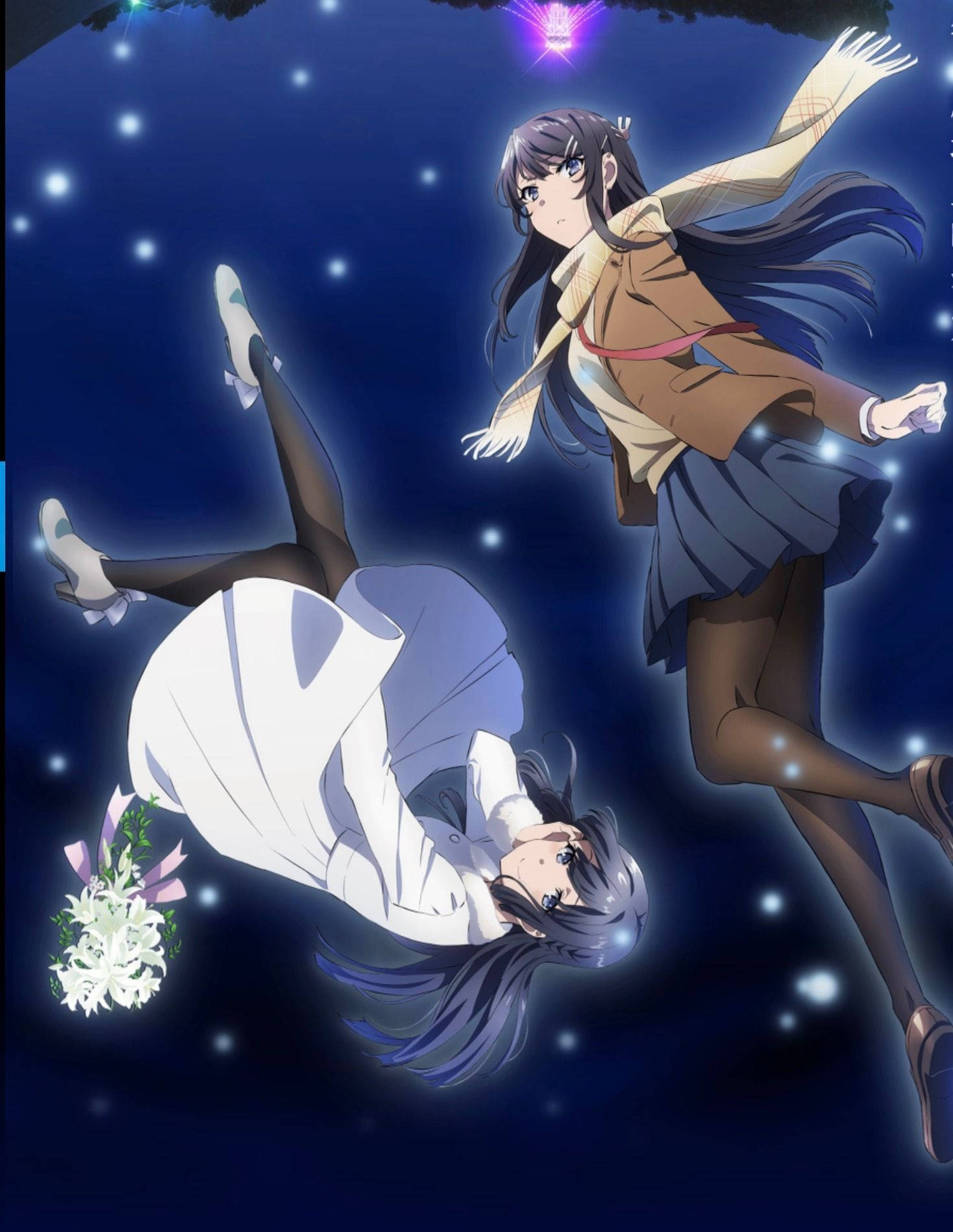 Rascal Does Not Dream Of Bunny Girl Senpai Shoko And Mai Wallpaper