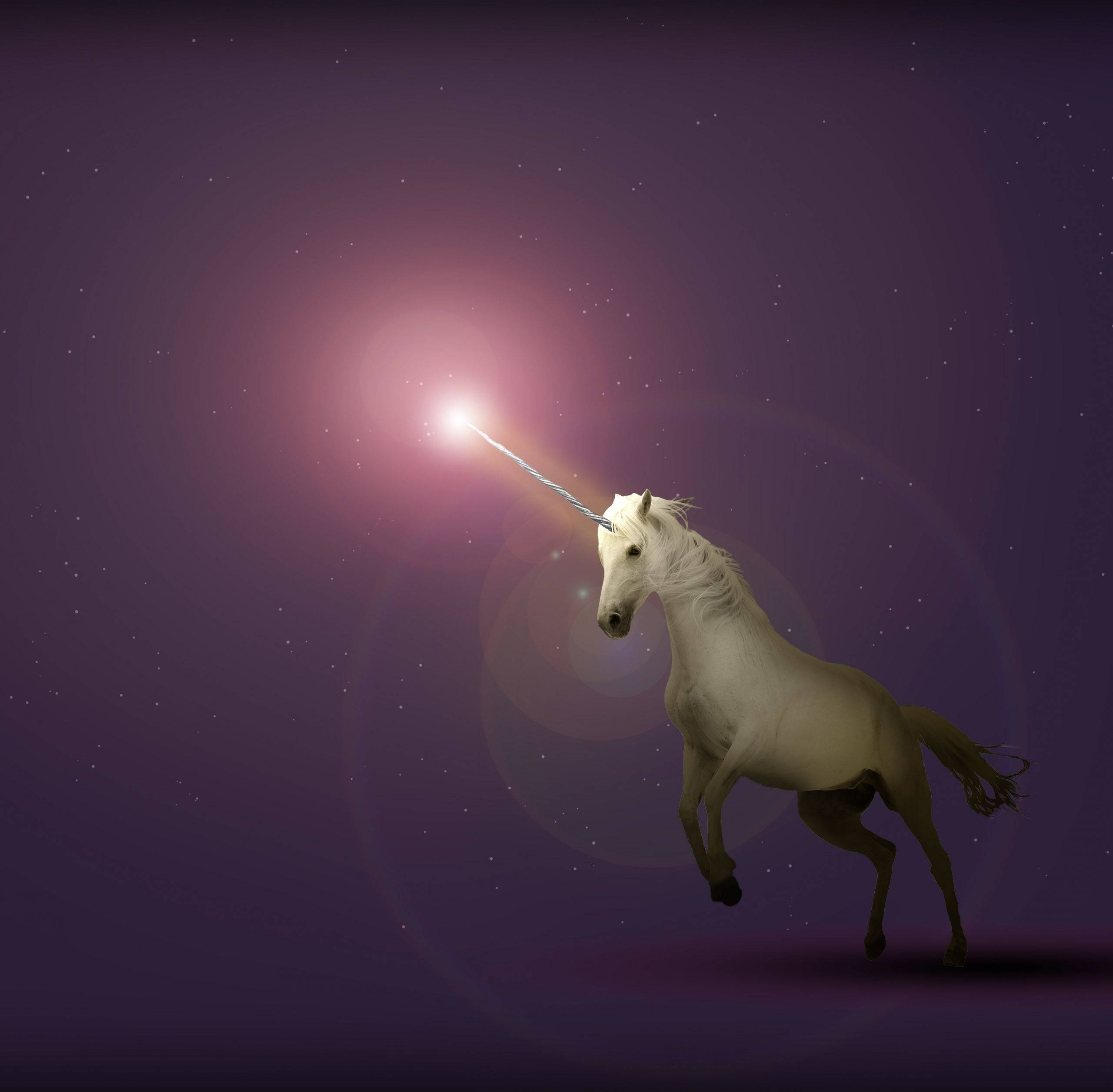 Realistic Illustration White Galaxy Unicorn Wallpaper
