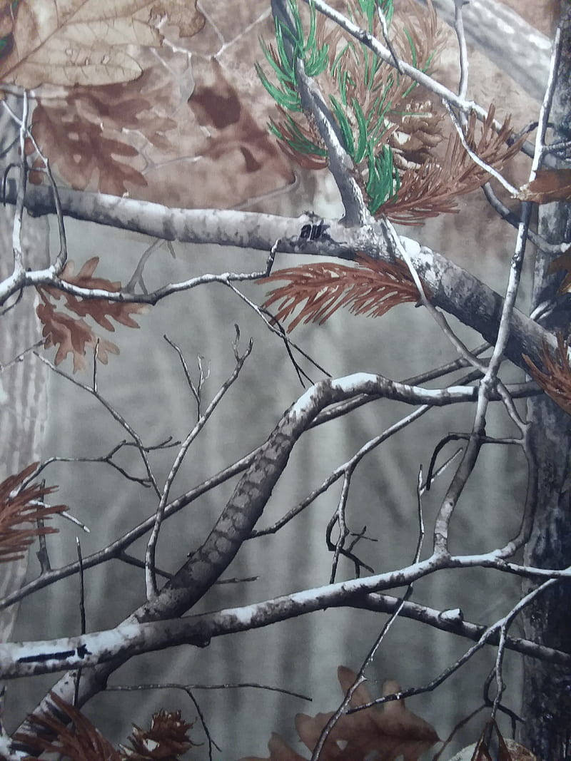 Realtree Hunting Camo Wallpaper