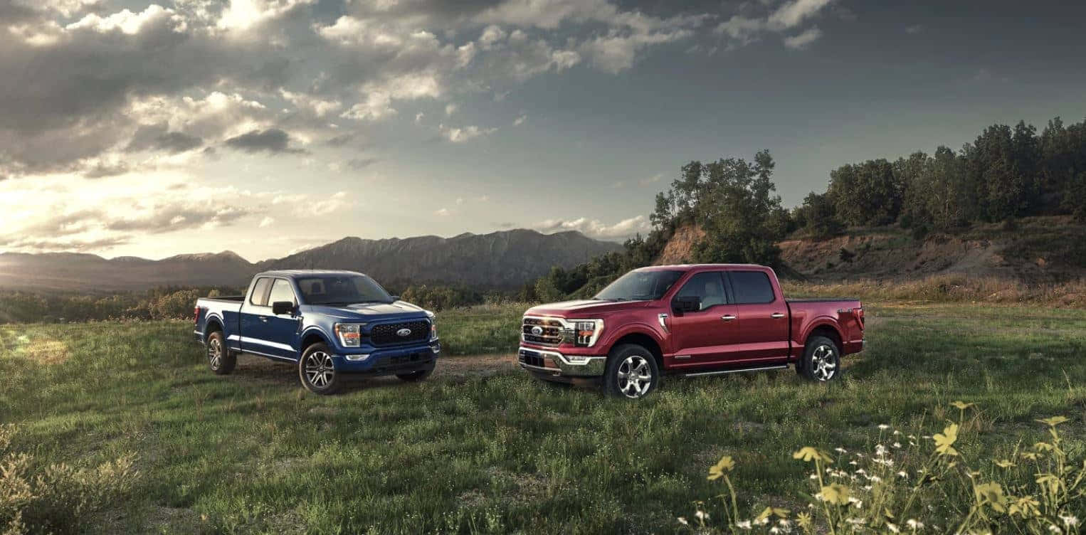 Red And Blue Ford F 150 Trucks Wallpaper