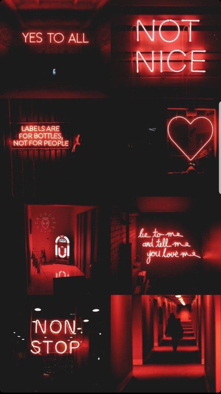 Red Baddie Mood Board Wallpaper