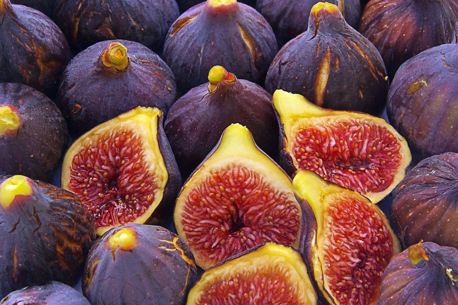 Red Flesh Figs Wallpaper