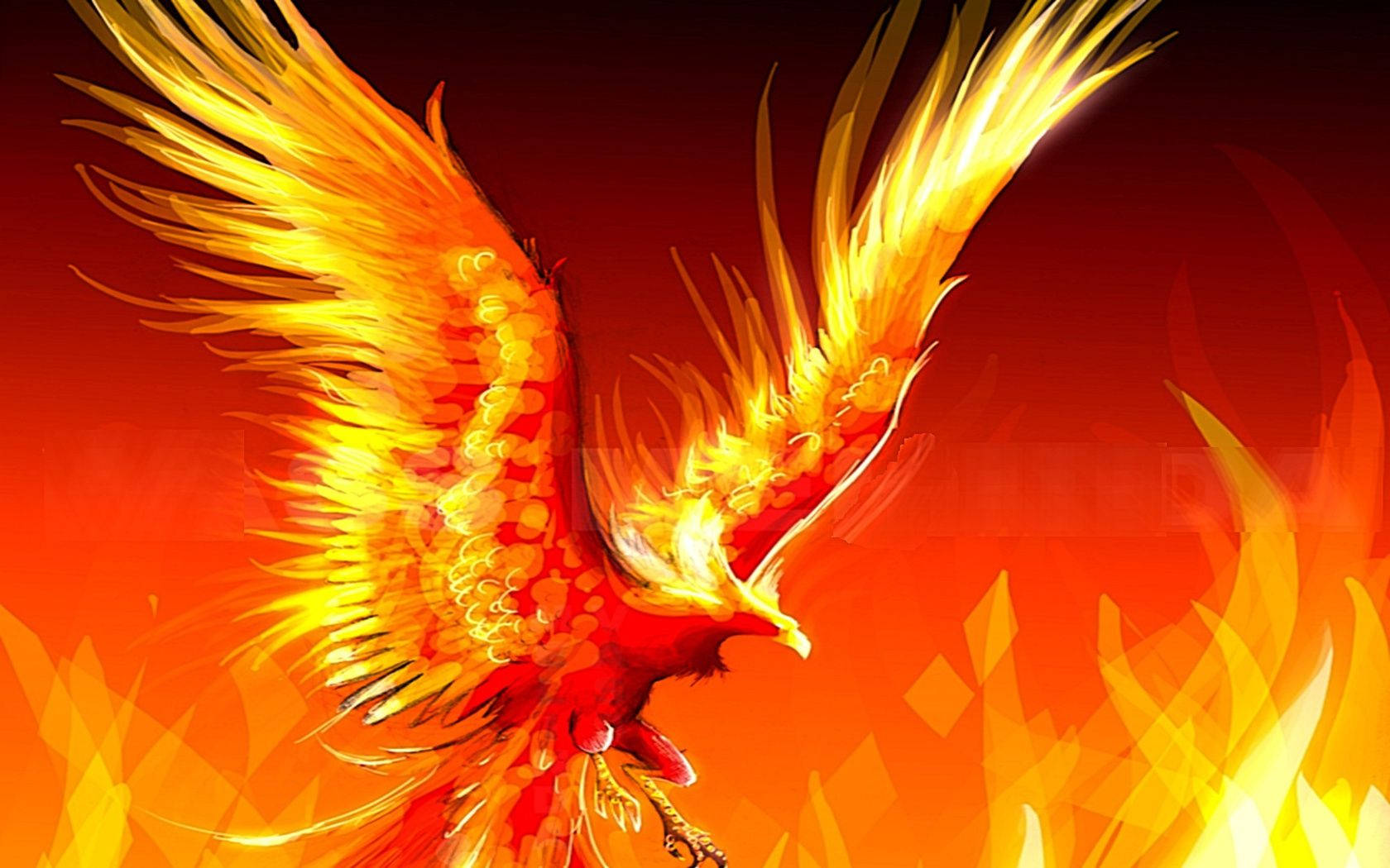 Red Gold Phoenix Wallpaper