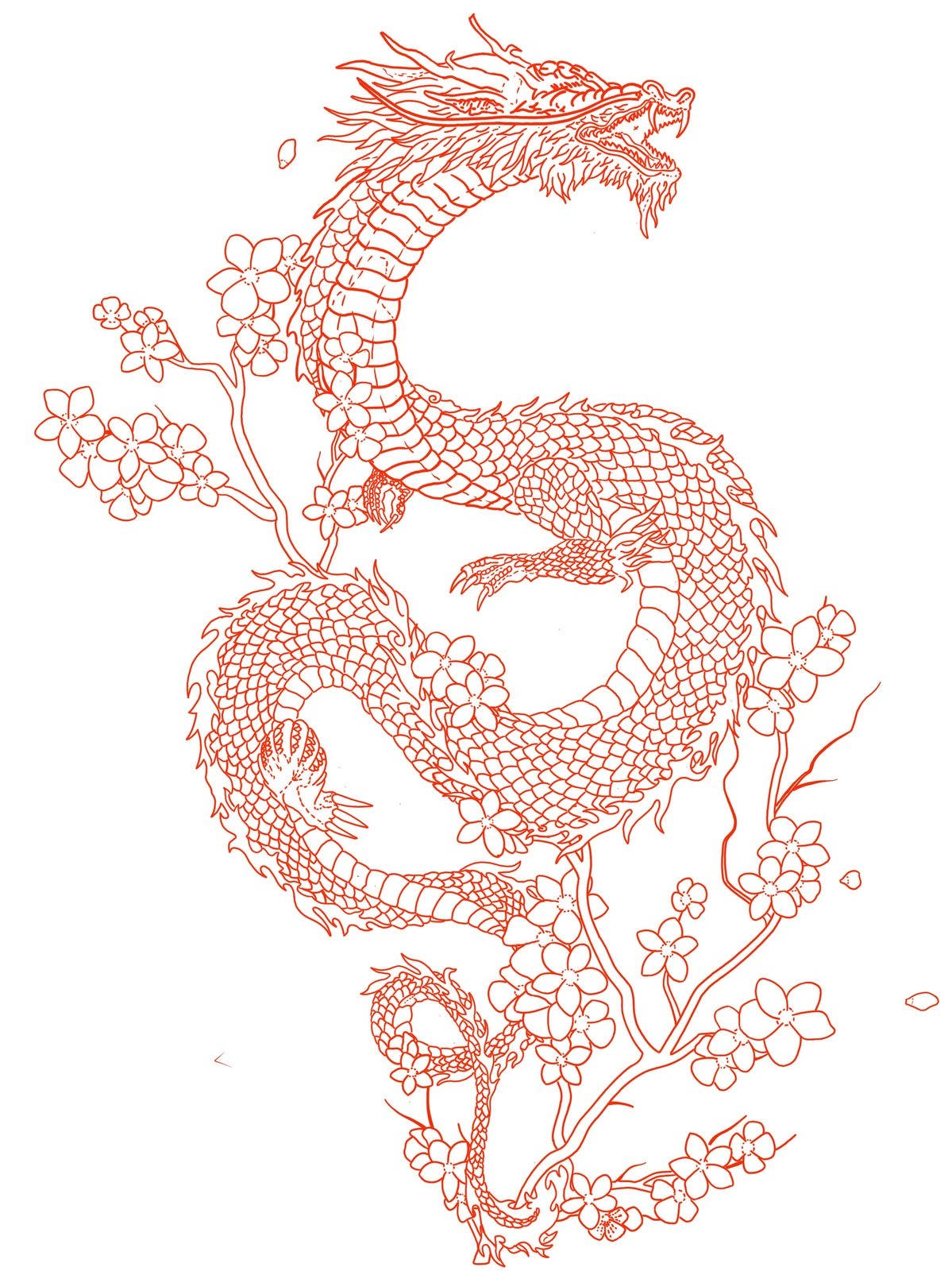 Red Japanese Dragon Tattoo Drawing Wallpaper