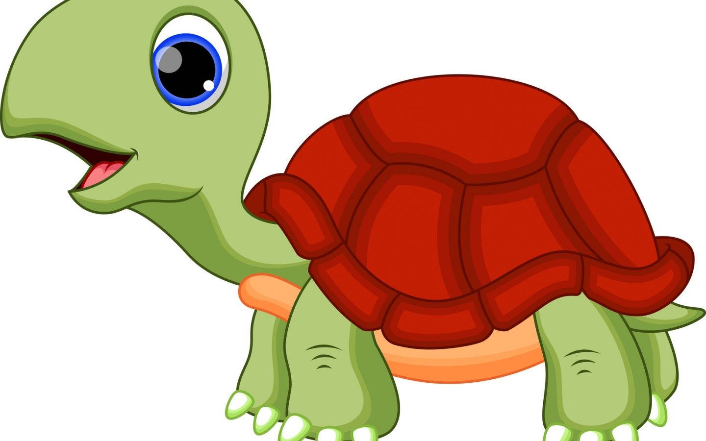 Red Shell Cartoon Turtle Wallpaper