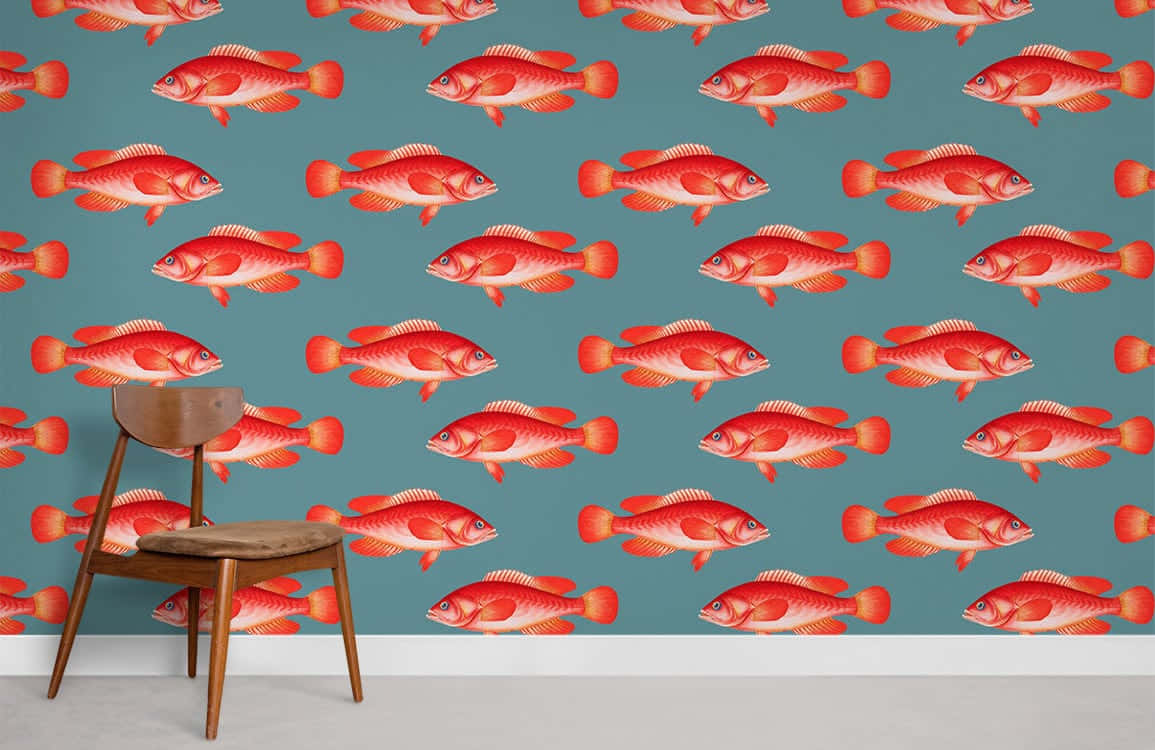 Red Snapper Wallpaper Interior Wallpaper