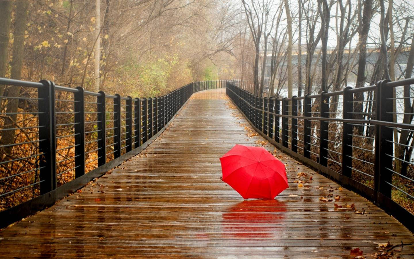 Red Umbrella In Pathway Most Beautiful Rain Wallpaper