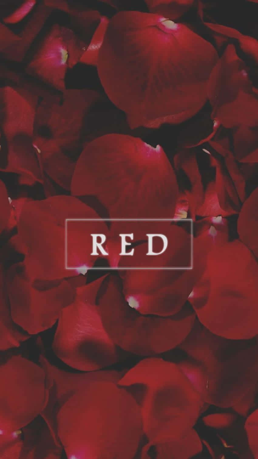 Red, White, & Aesthetic Wallpaper