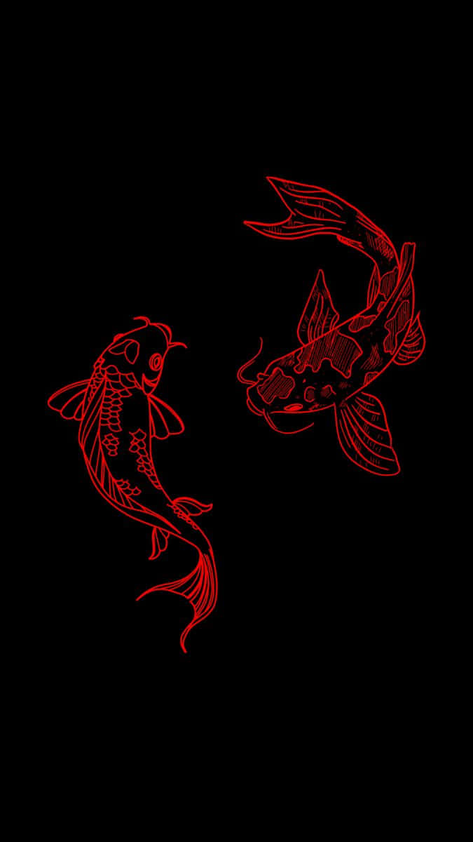 Redand Black Koi Fish Illustration Wallpaper