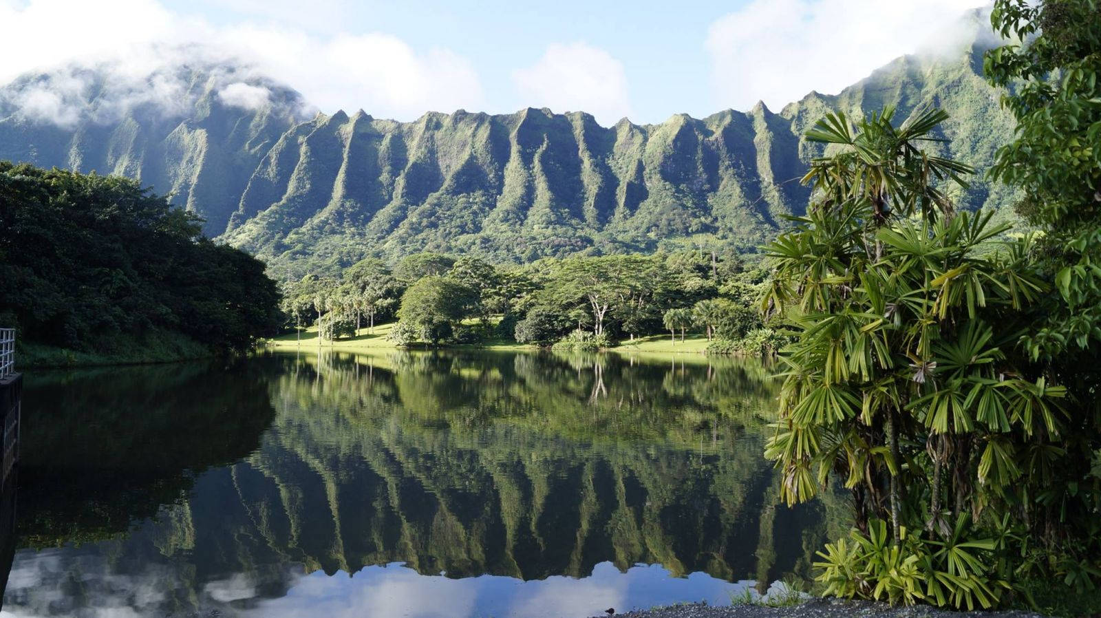 Reflective Oahu Lake Wallpaper