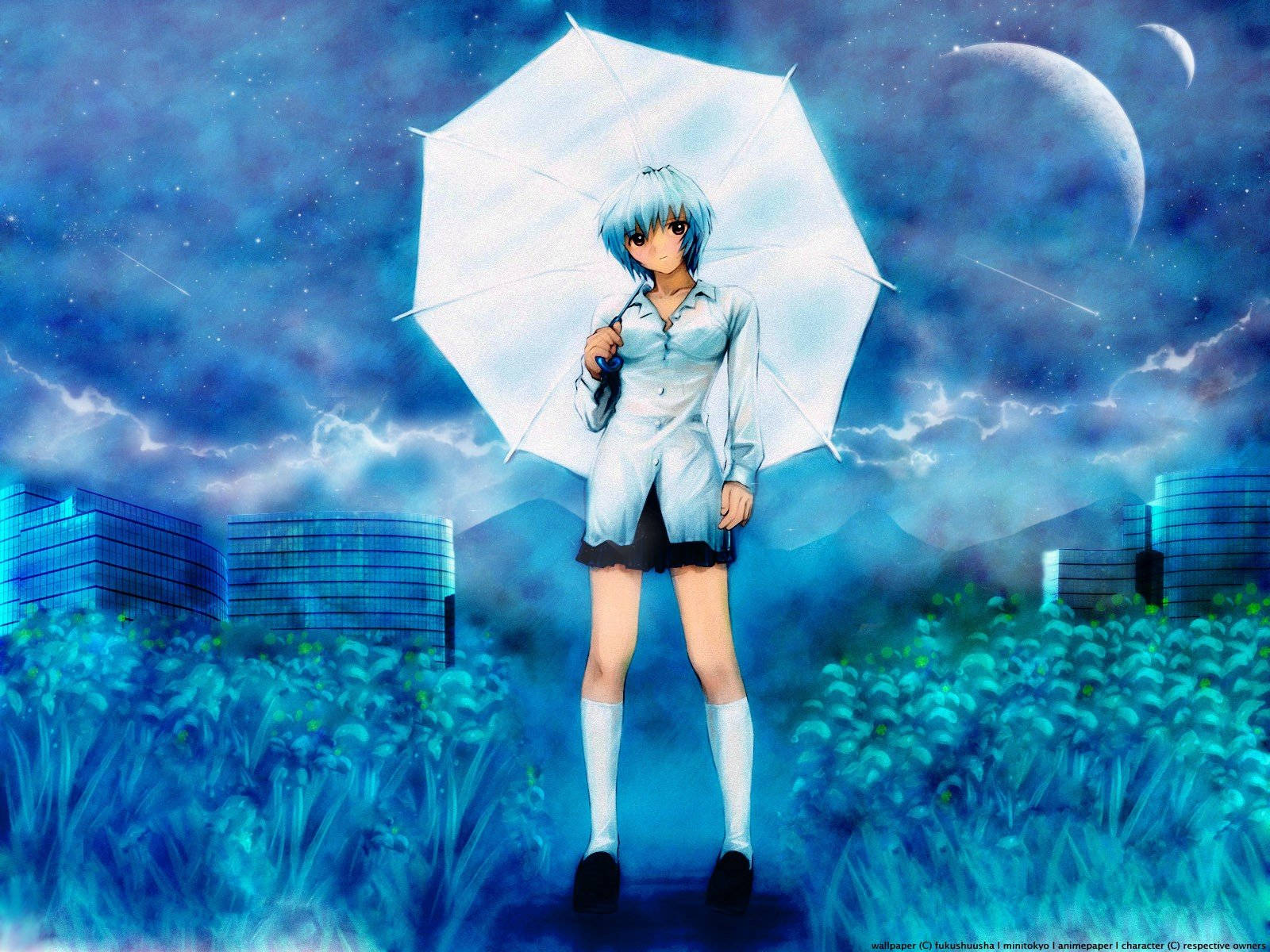 Rei With Umbrella From Evangelion Wallpaper