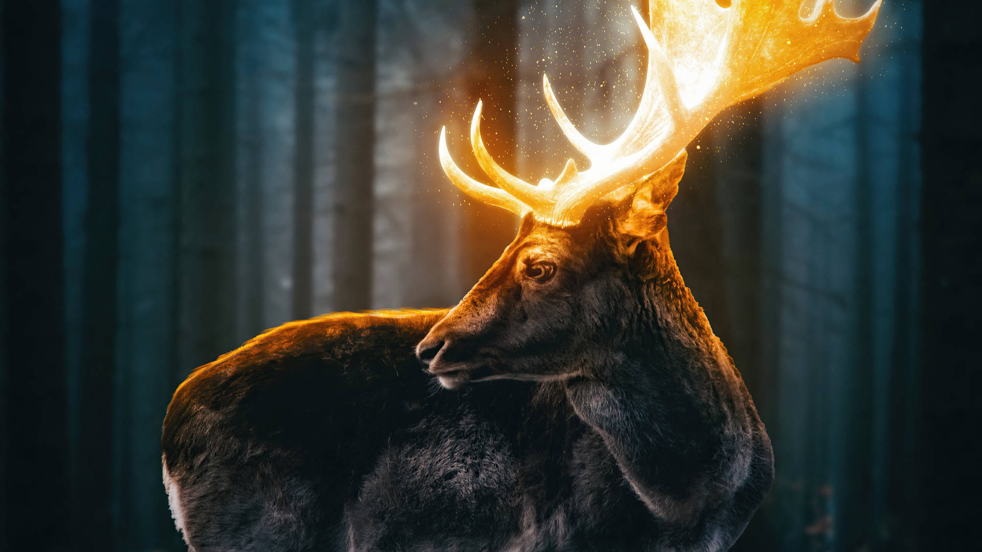 Buck with Antlers · Free Stock Photo