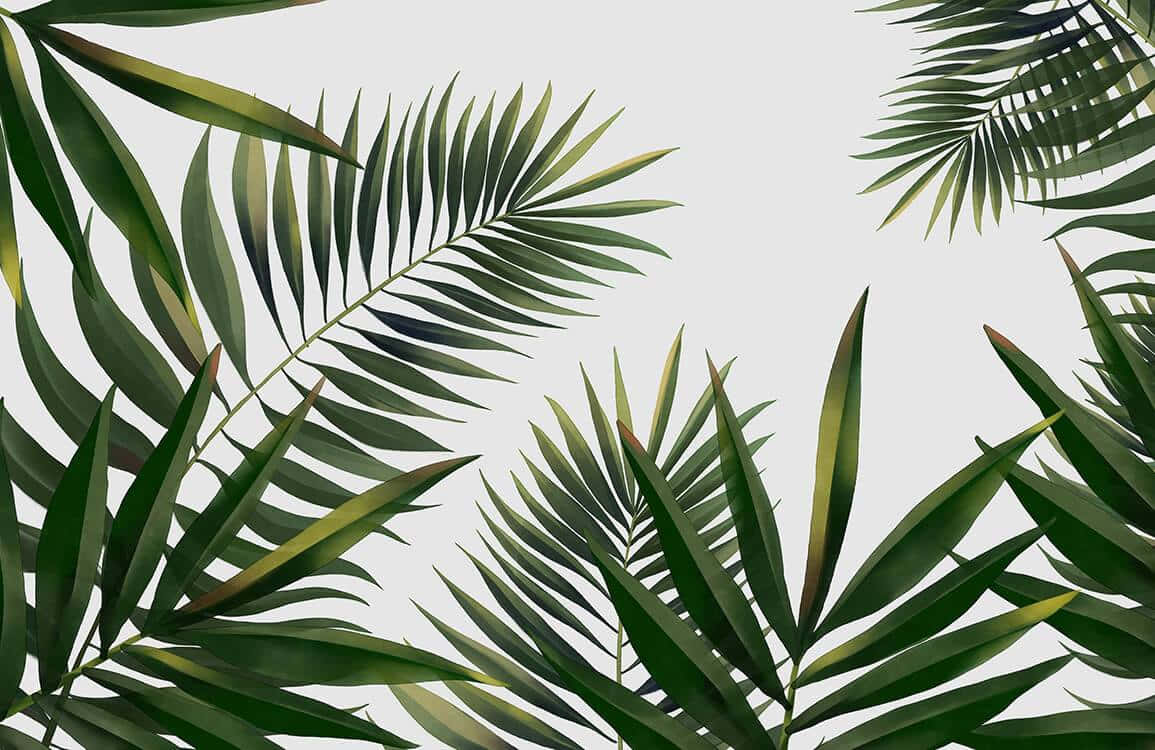 Relax And Recharge With Aesthetic Palm Leaves Wallpaper