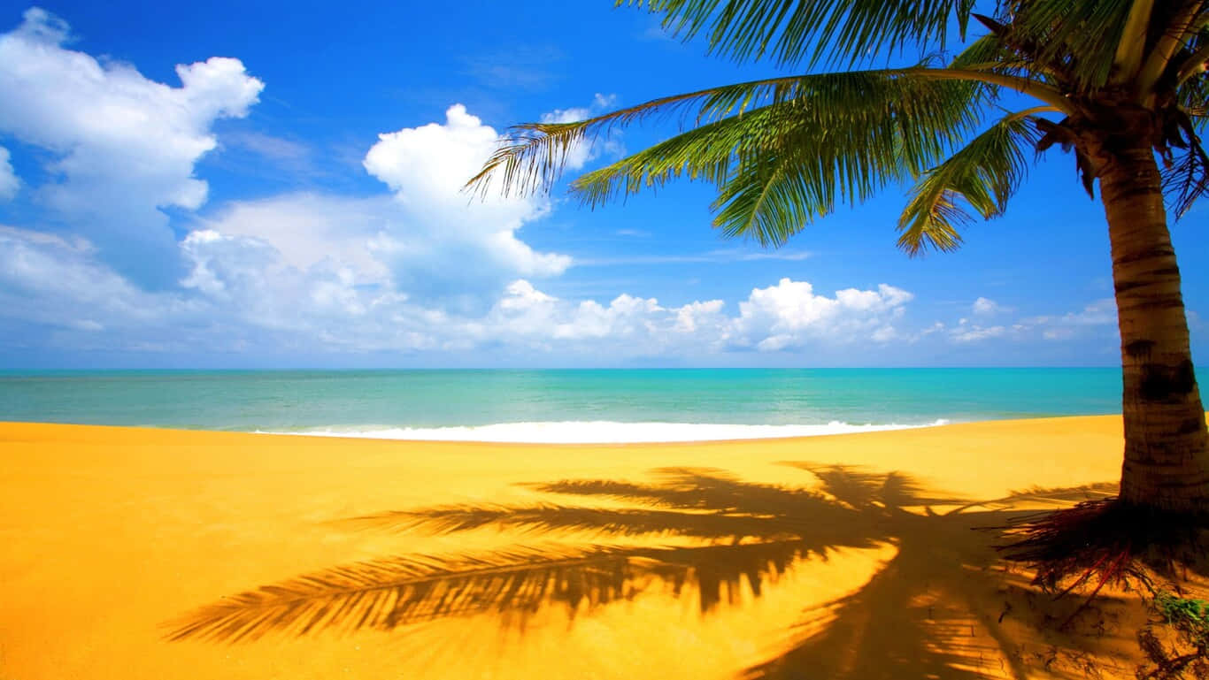 Relax And Unwind On A Beautiful Beach Day Wallpaper