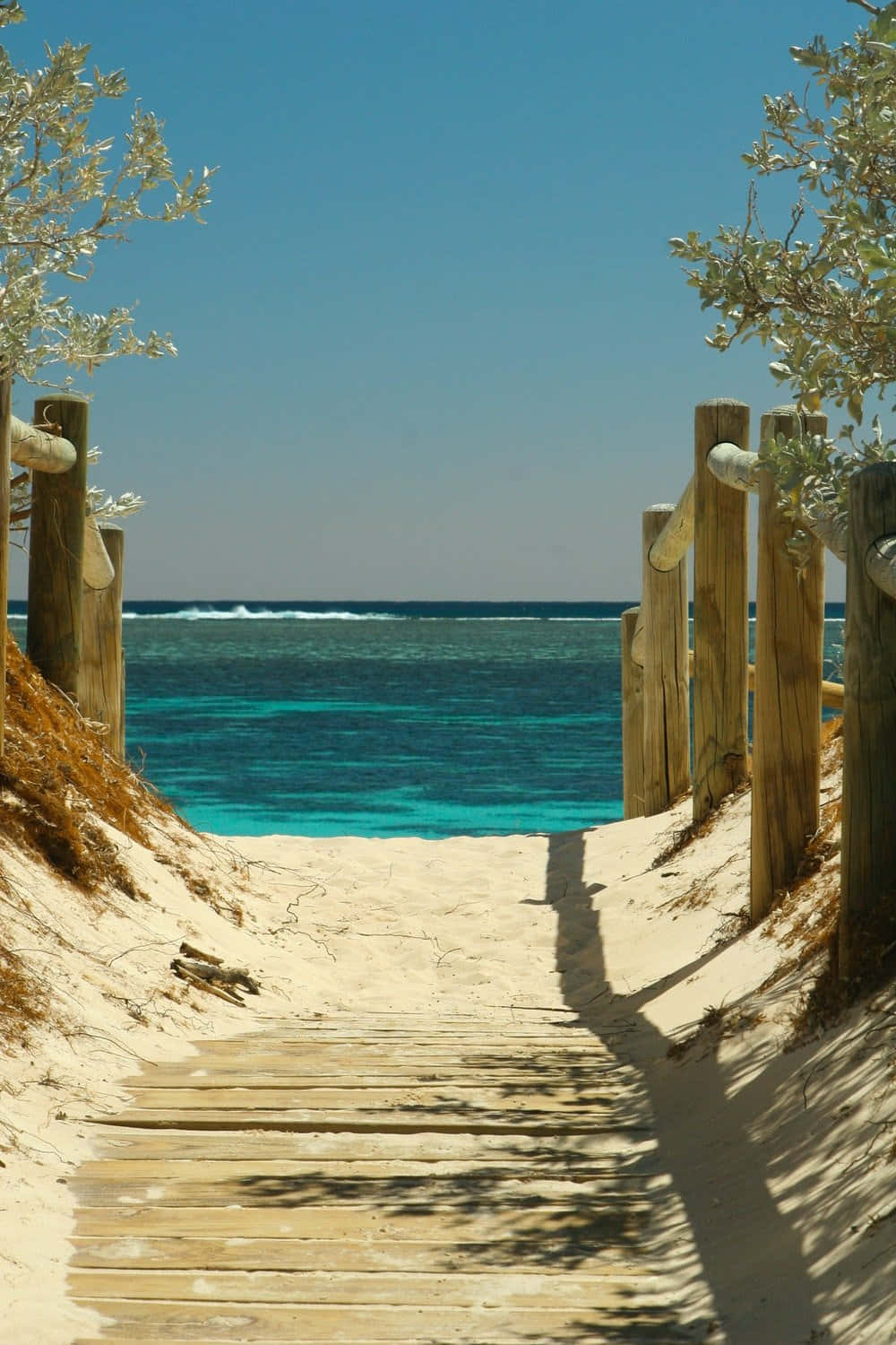 Relaxing On The Beach With Your Favorite Technology Wallpaper