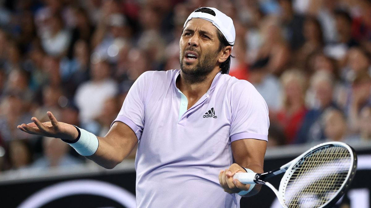 Resigned Fernando Verdasco Wallpaper