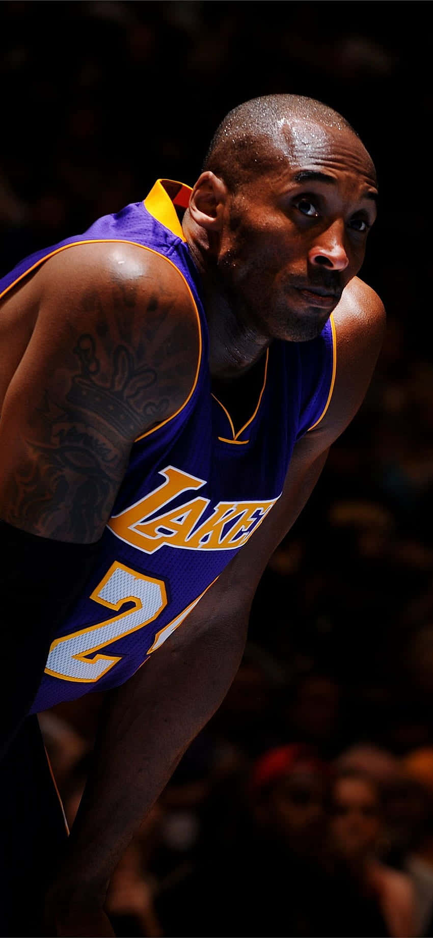 Resting Kobe Bryant Phone Wallpaper