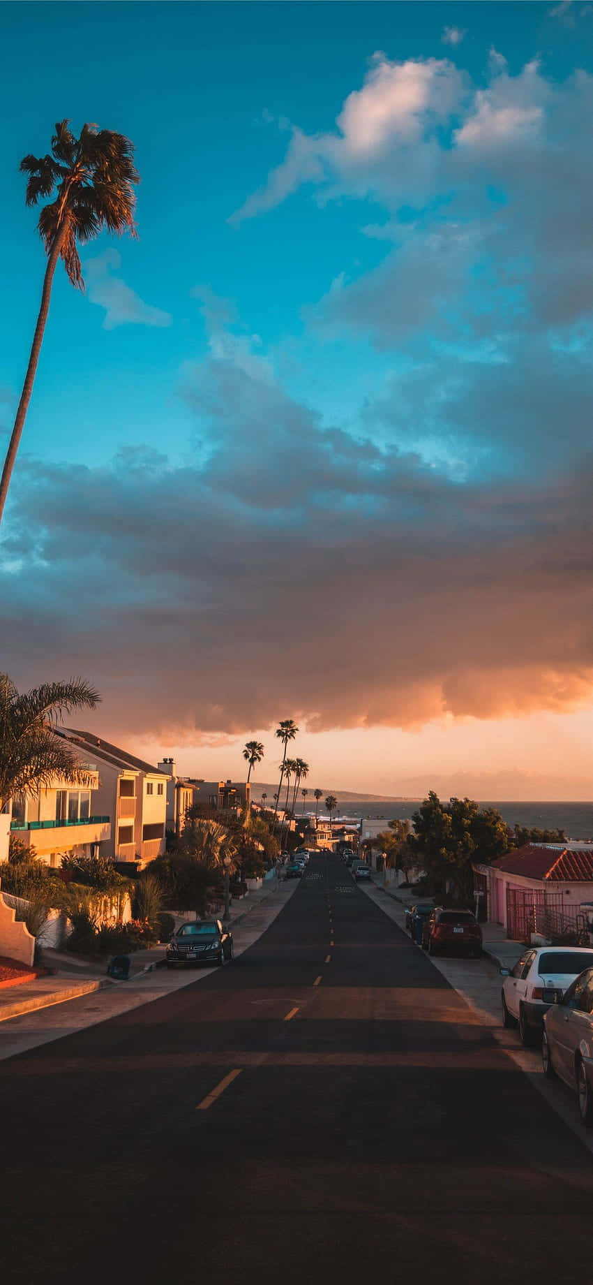 Revel In The Beauty Of A California Summer Wallpaper