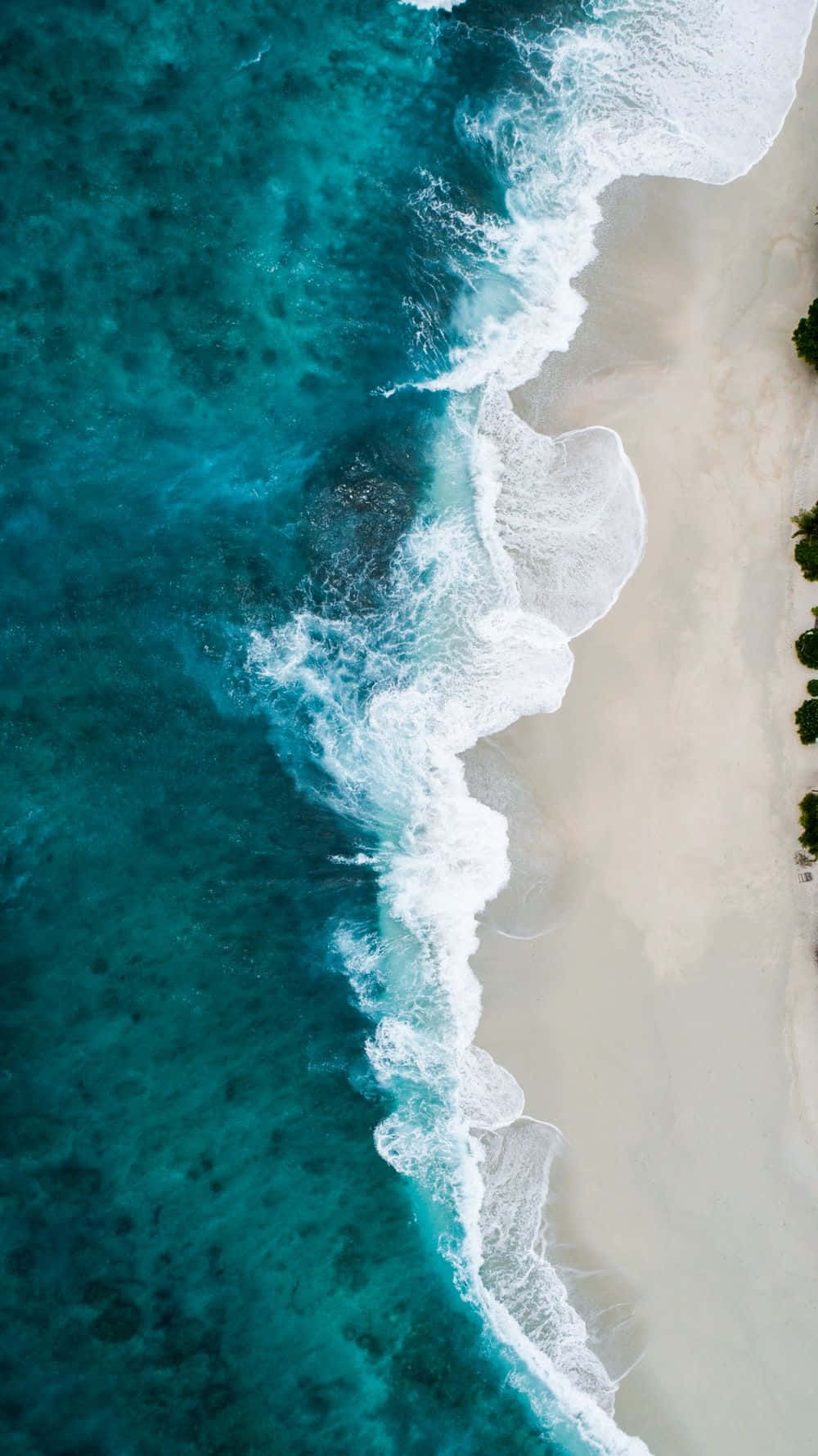 Reveling In The Beauty Of Summer Wallpaper