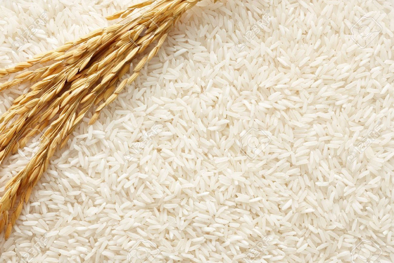 Ripe Sprig Of Rice Wallpaper