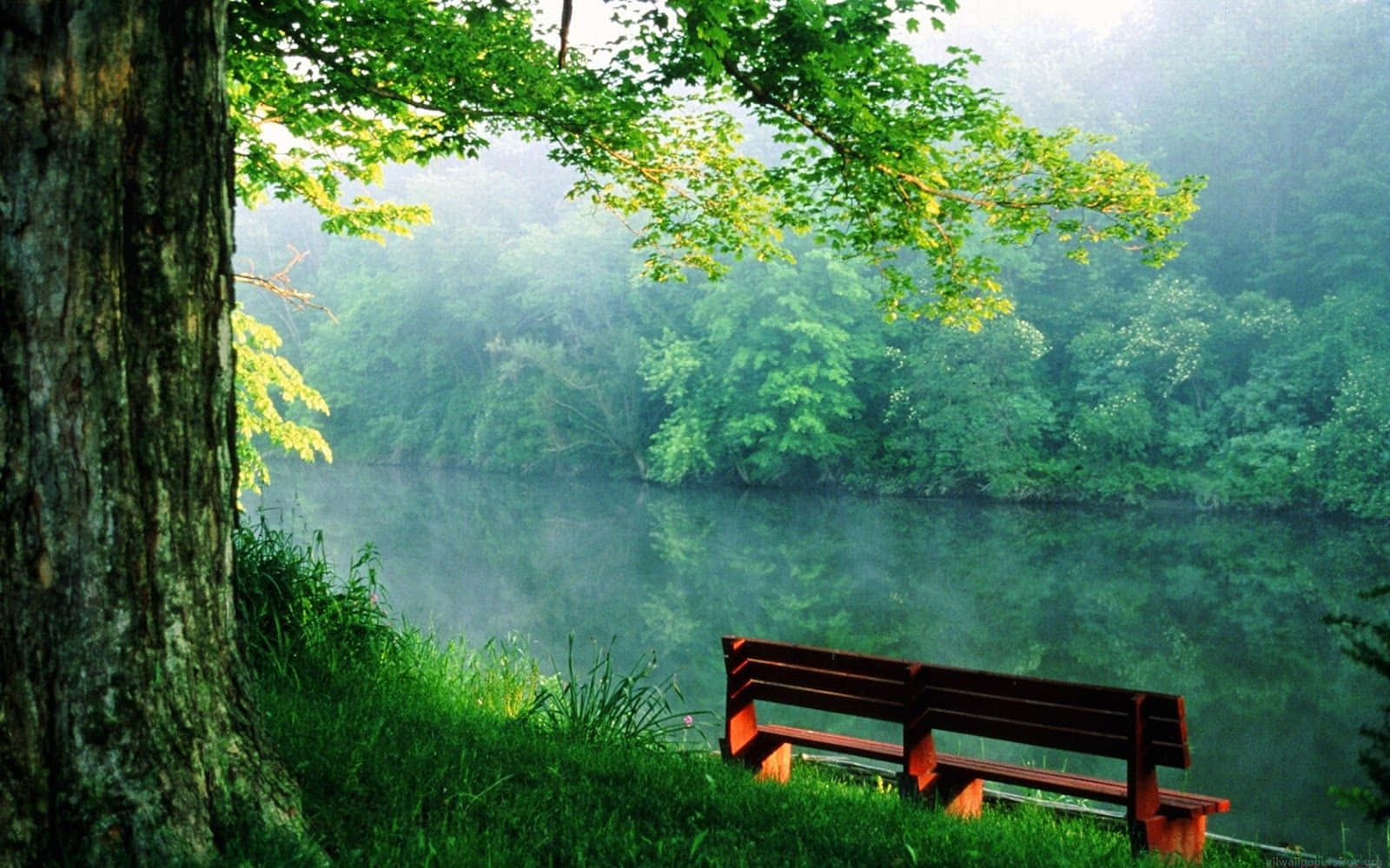 River Park Bench Nature Photography Wallpaper