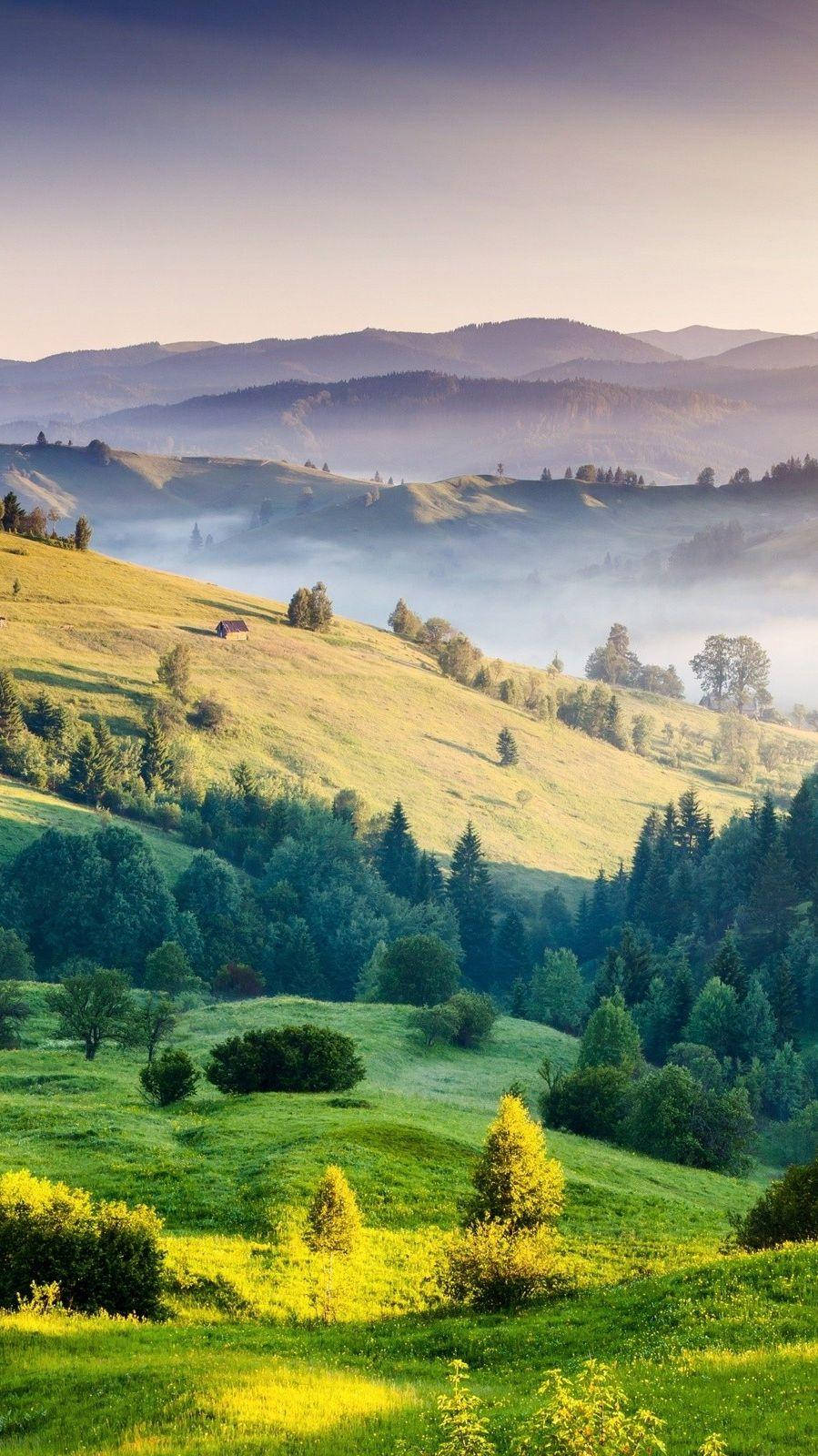 Rolling Hills Of Tuscany Phone Wallpaper