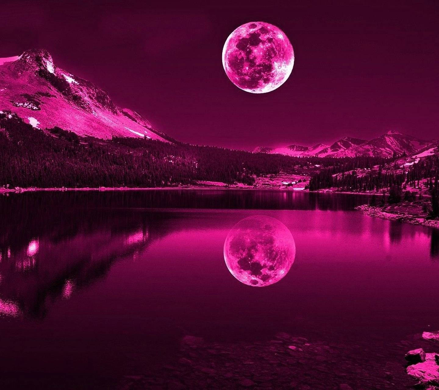 Romantic Neon Moon Wallpaper