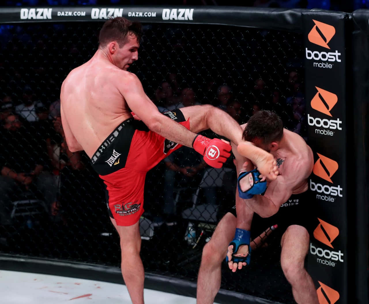 Rory Macdonald Kicked Jon Fitch Wallpaper