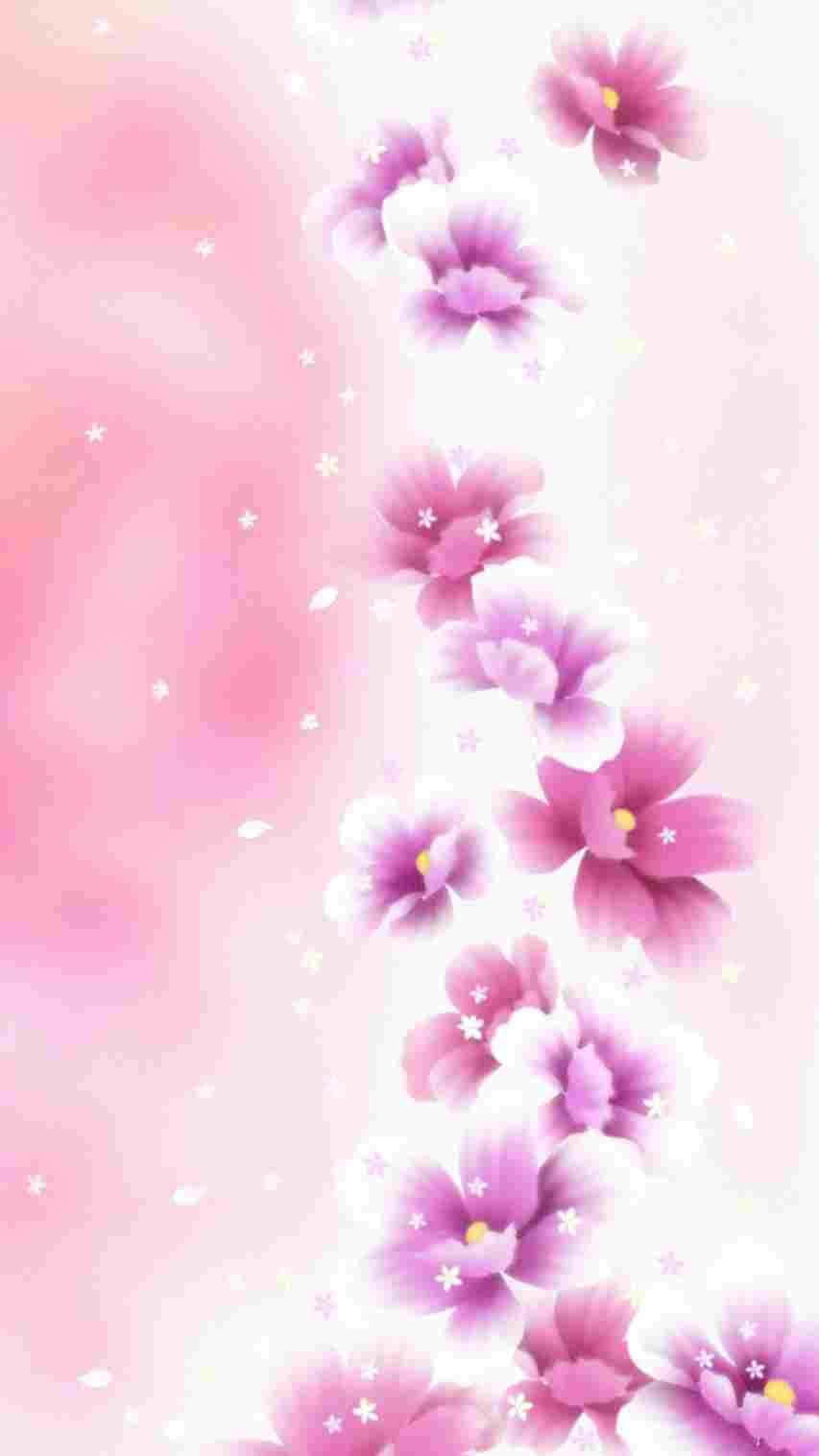 Rose Gold Iphone 5 Flower Petals Wallpaper