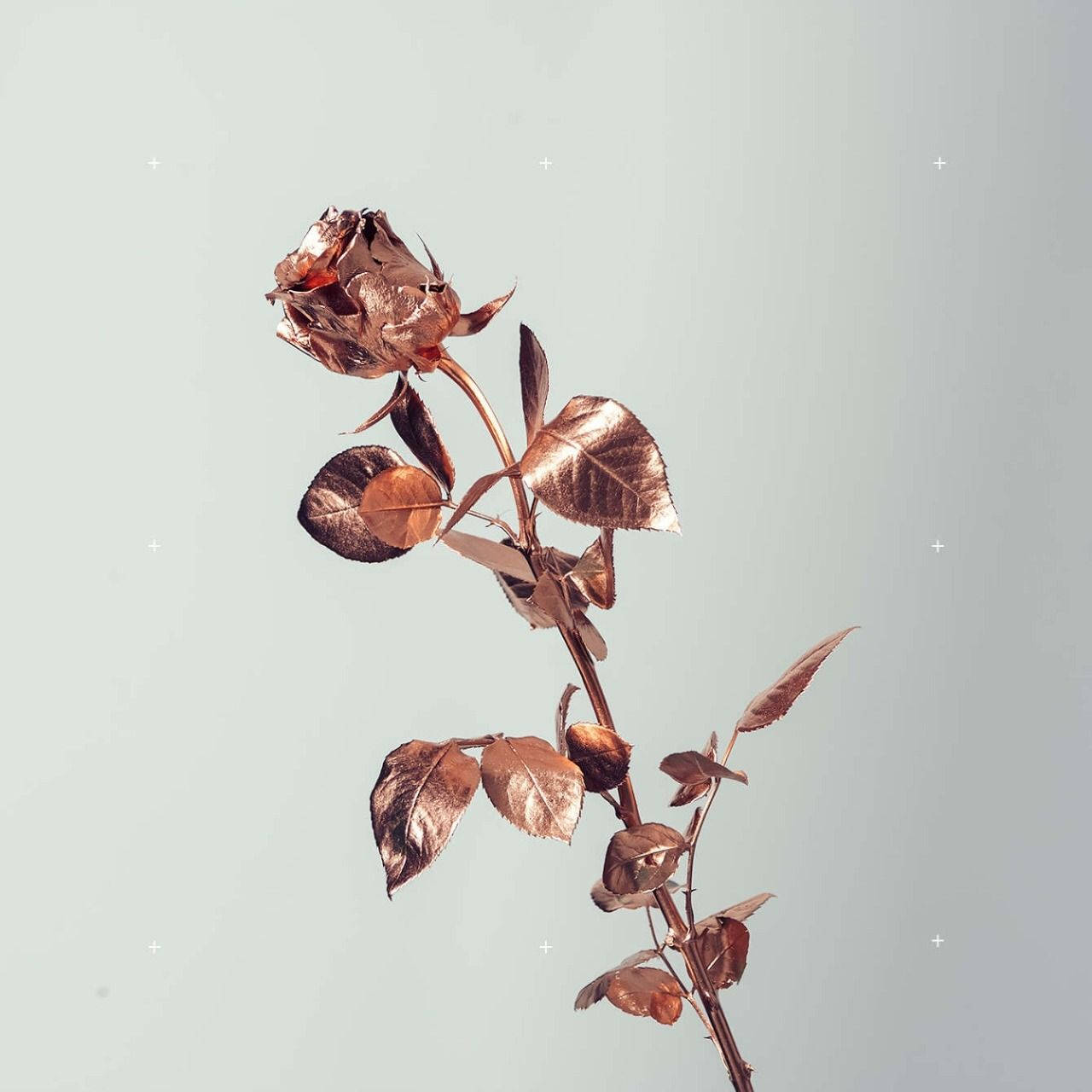 Rose Gold Tumbler Flower Foil Wallpaper